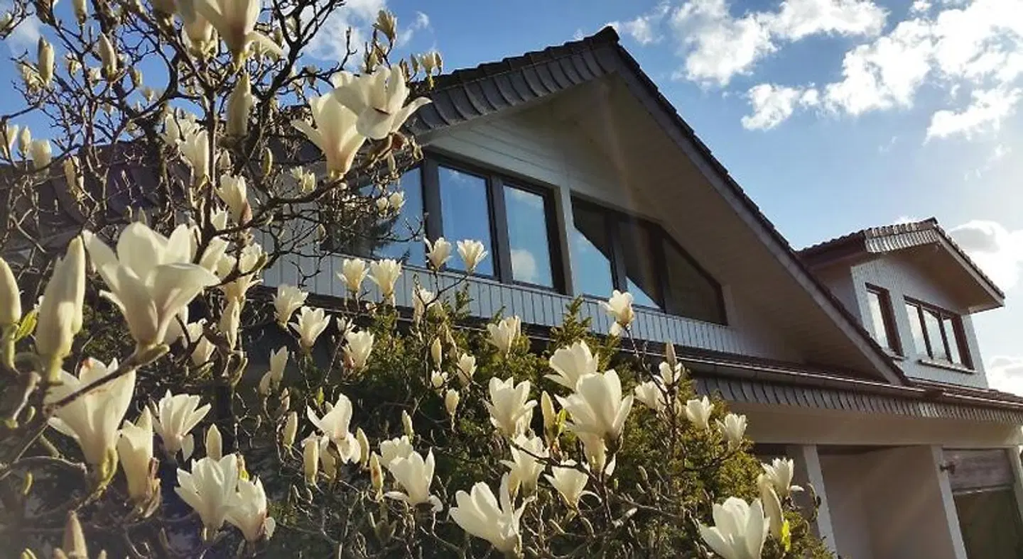Gästehaus Sonnenhügel Terrasse
