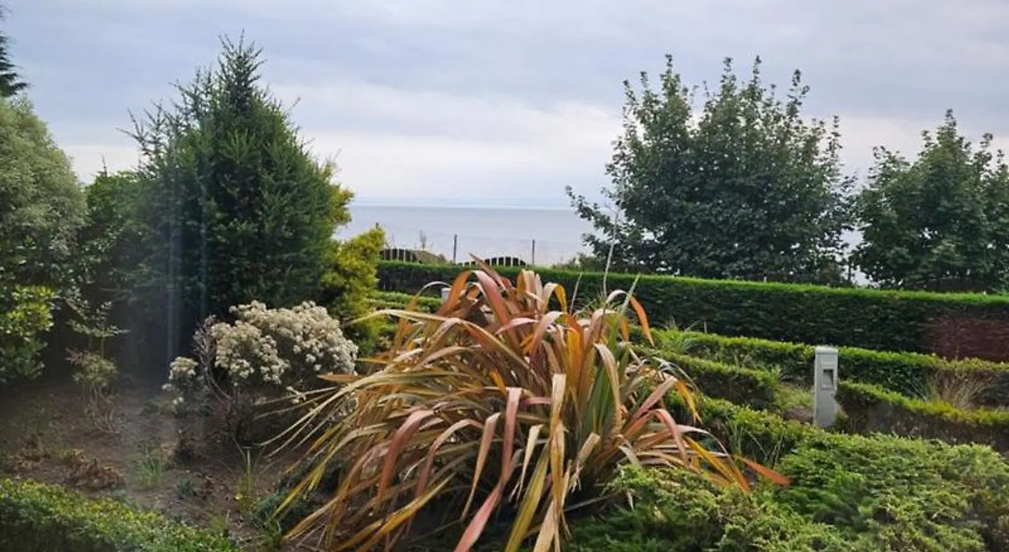 The Bay Hotel LANDSCAPE