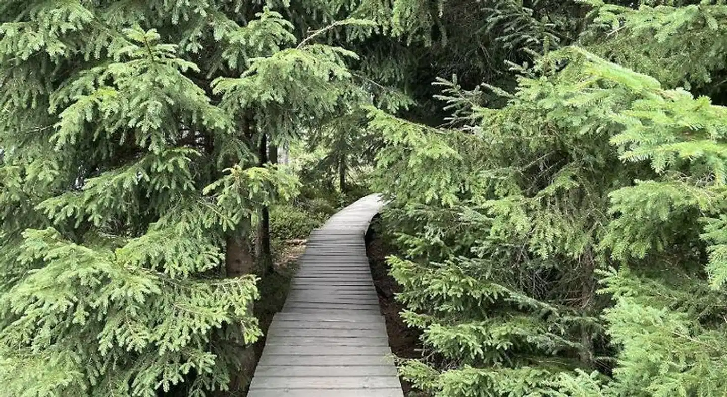 Hotel Paidion Landschaft