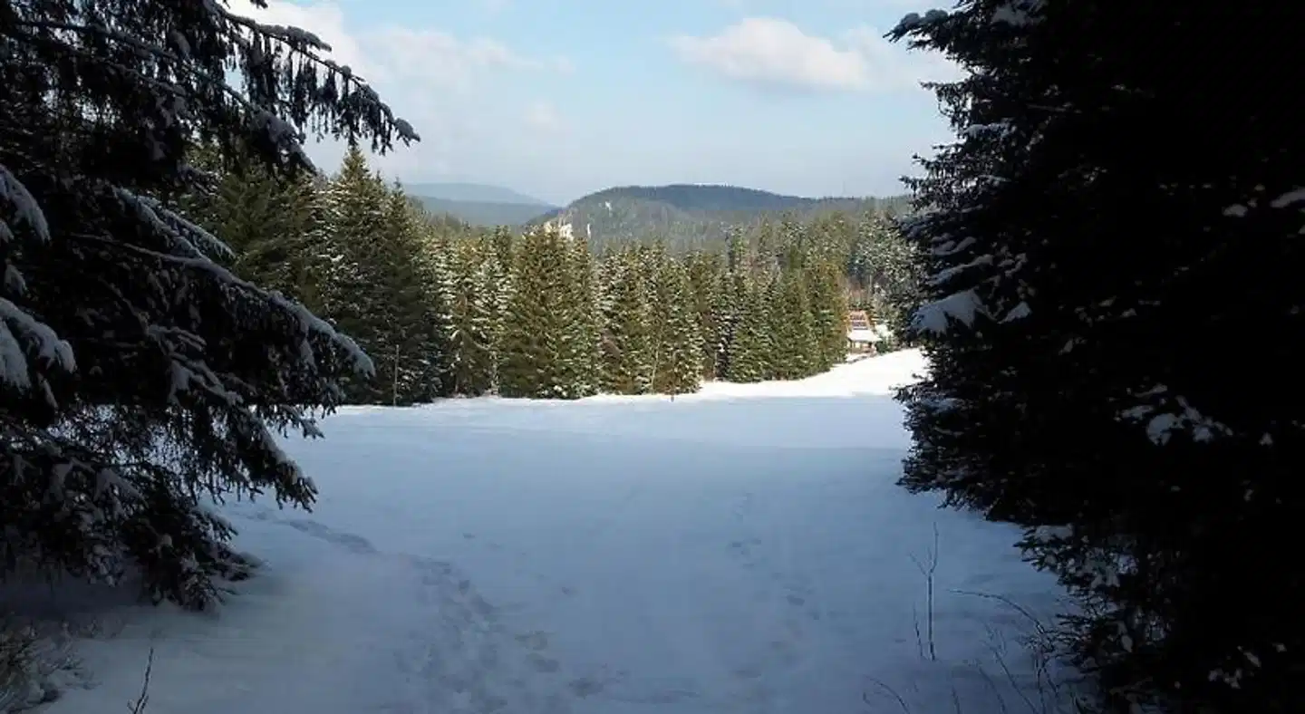 Quellenhof Landschaft