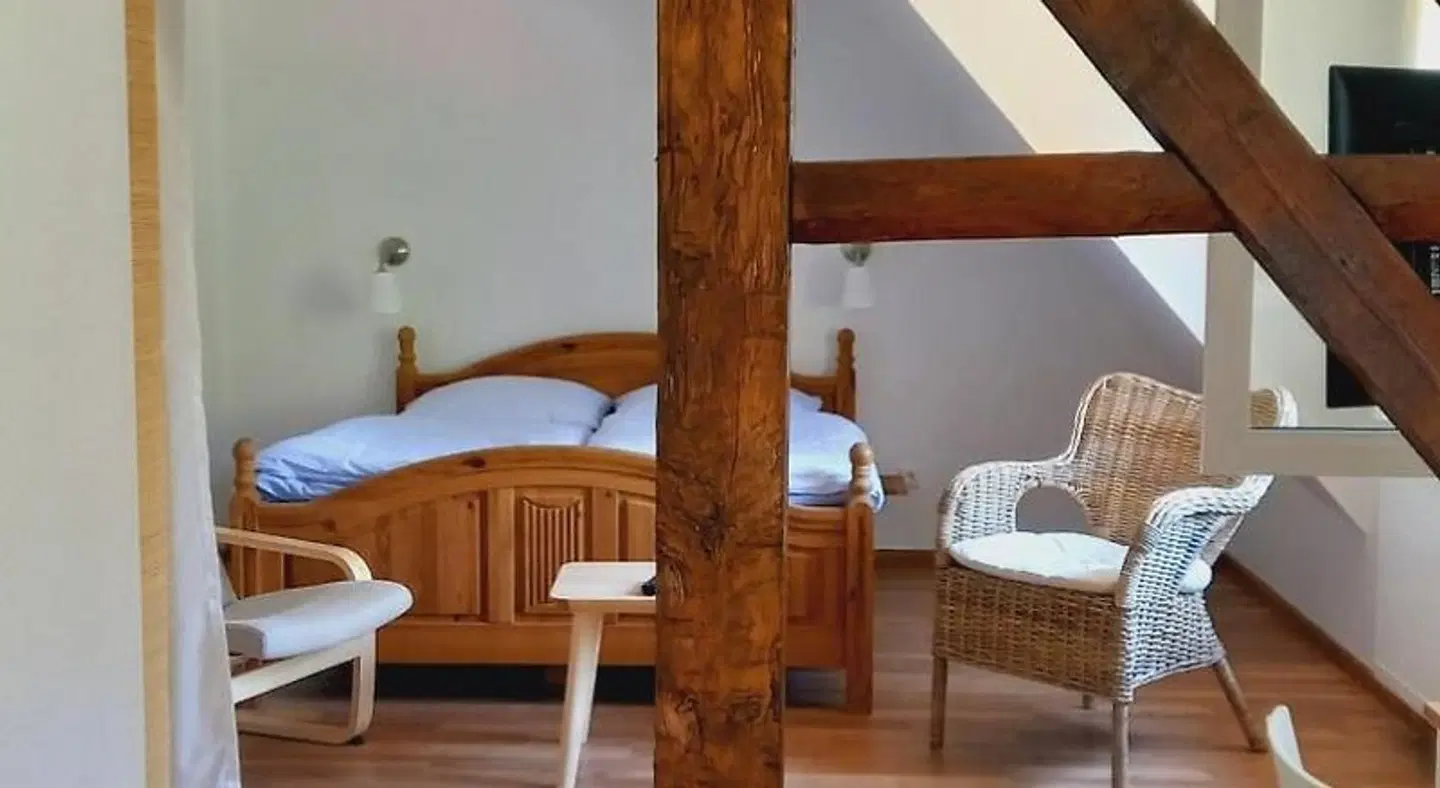 Hotel Harzer Waldwinkel ROOM_EXAMPLE