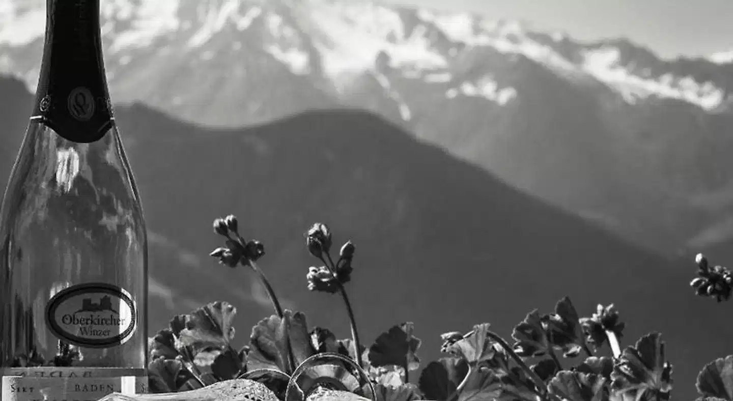 Breierhof Zell im Zillertal Tirol Landschaft