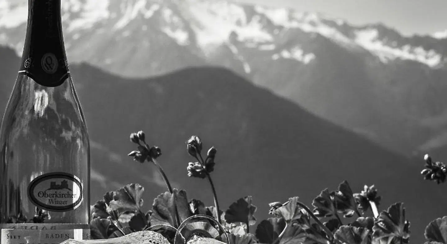 Breierhof Zell im Zillertal Tirol LANDSCAPE