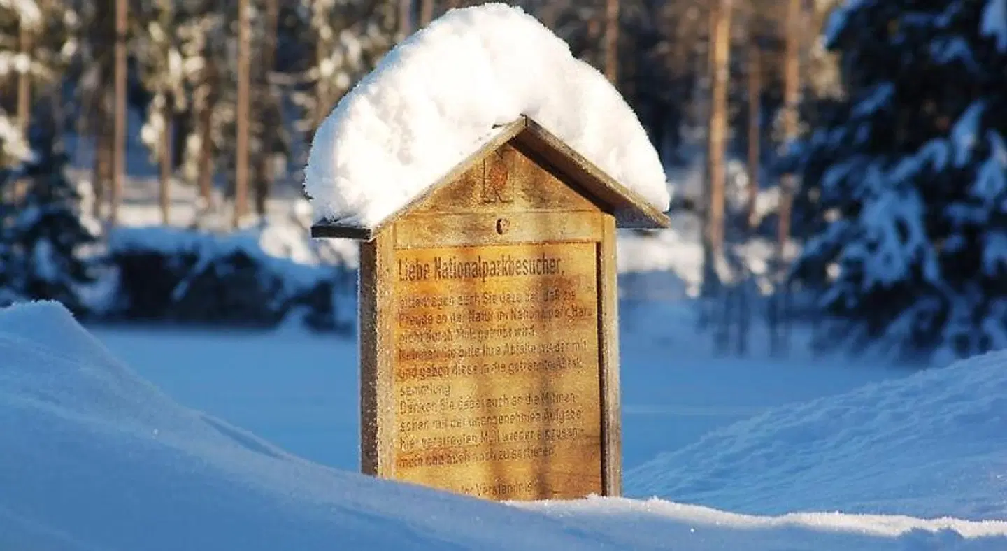 Altes Forsthaus Tiere