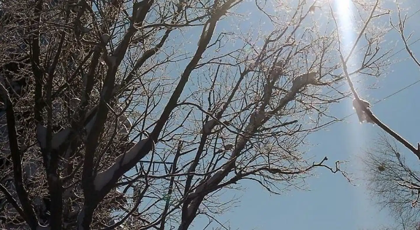 Altes Forsthaus Landschaft