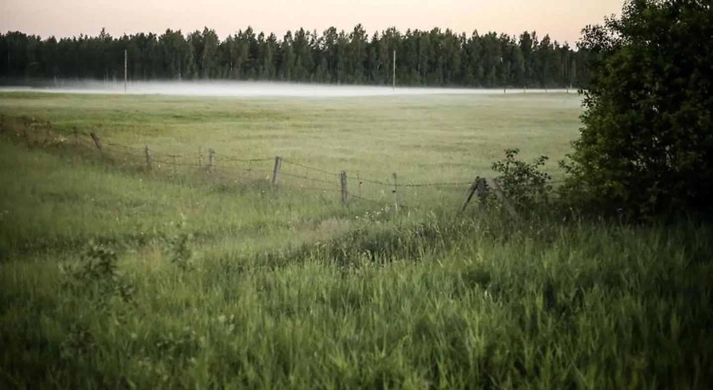 Viesu nams Jaunzilaki LANDSCAPE