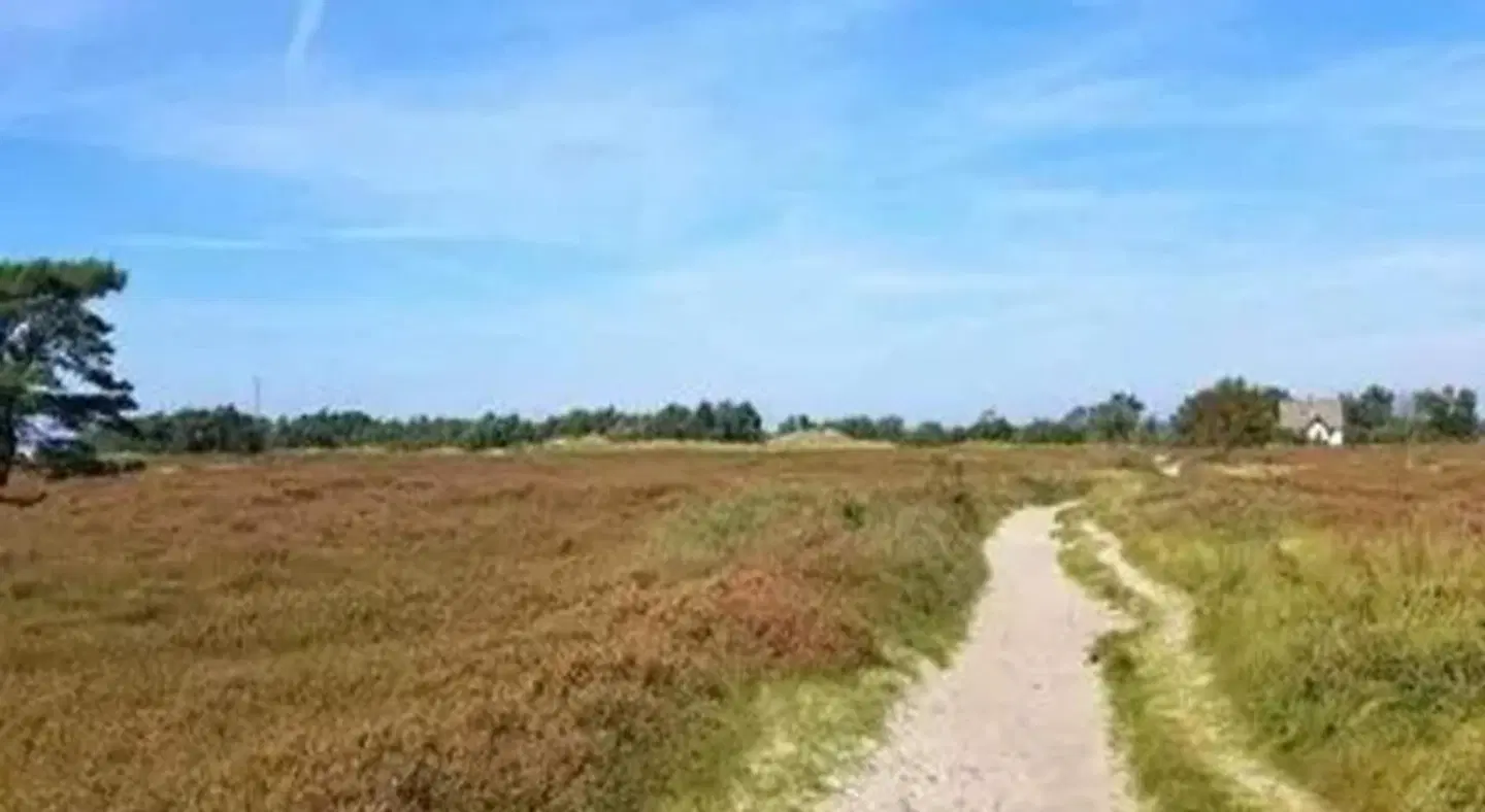 Post Hiddensee LANDSCAPE