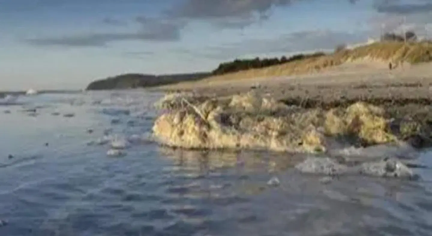 Post Hiddensee LANDSCAPE