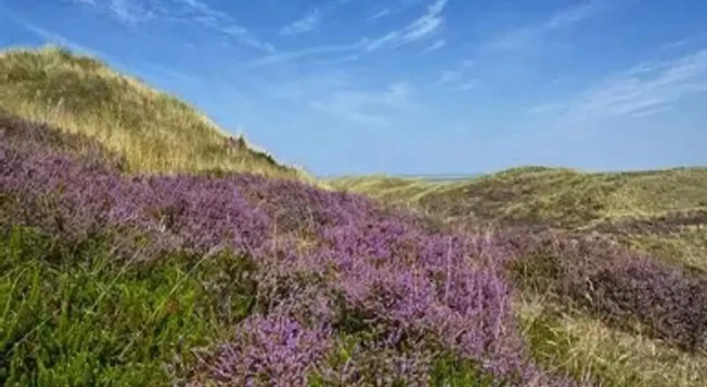 Post Hiddensee LANDSCAPE
