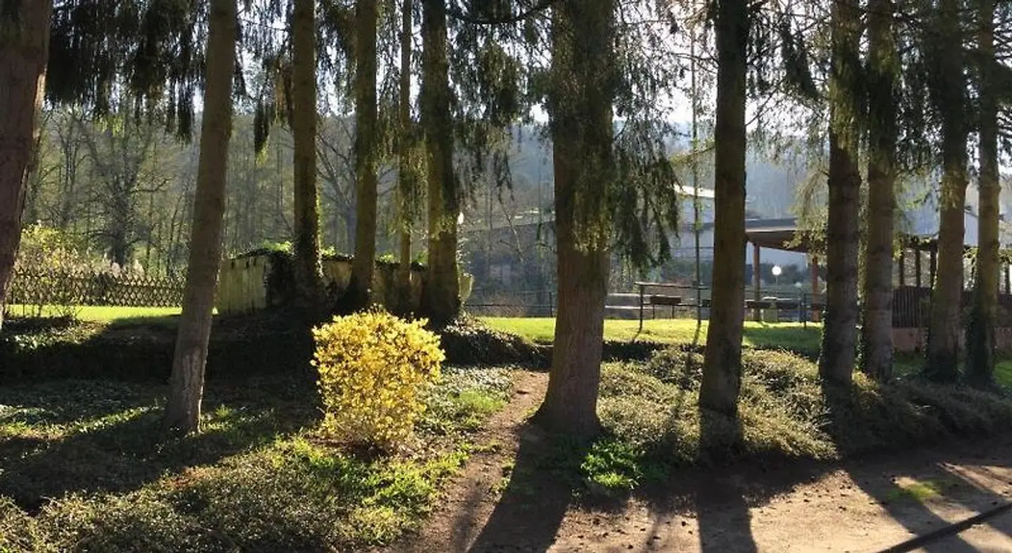 PRISMA Hotel Burg Bollendorf Garten