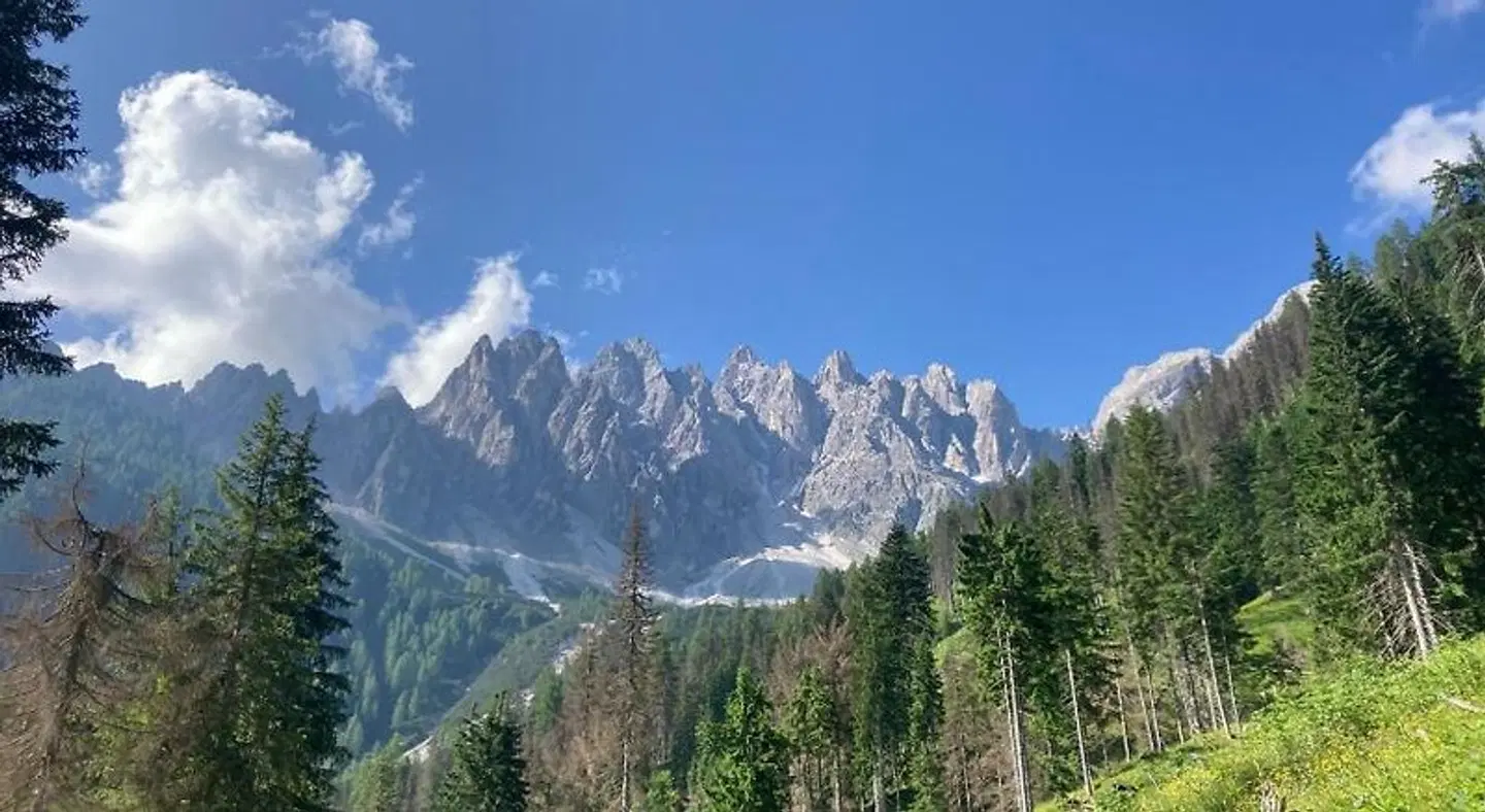 Schloßberghof Marzoll LANDSCAPE