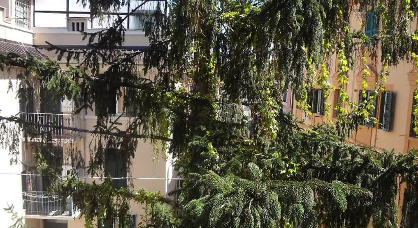 Vatican Suites Happy Holidays Garten