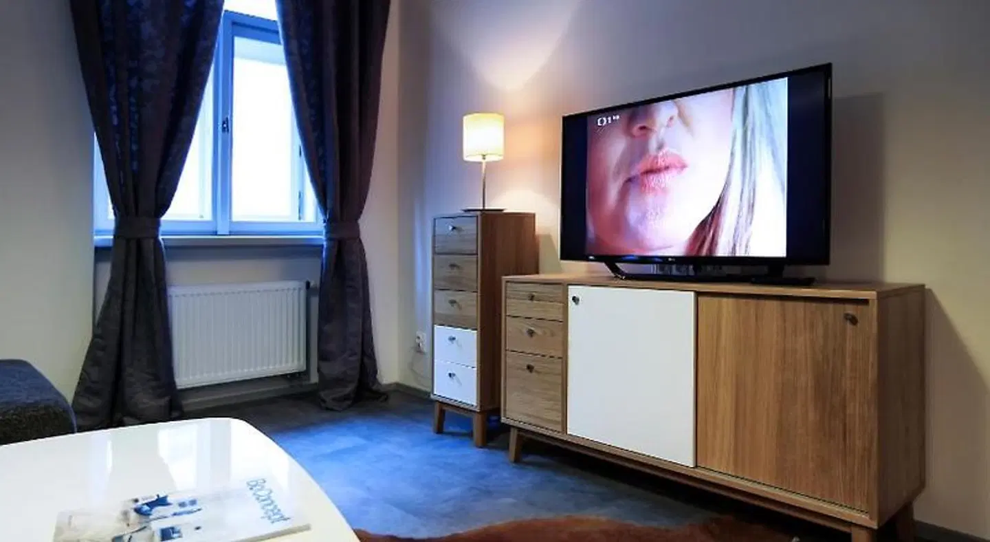 Apartments At The Blue Duckling ROOM_EXAMPLE