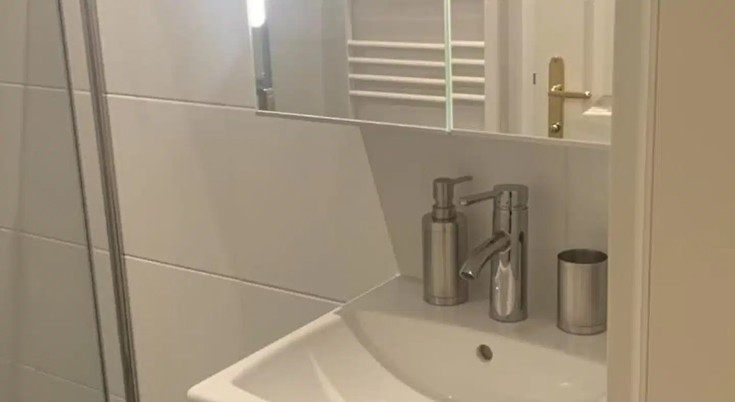 Lion's Rooms n Apartments Badezimmer