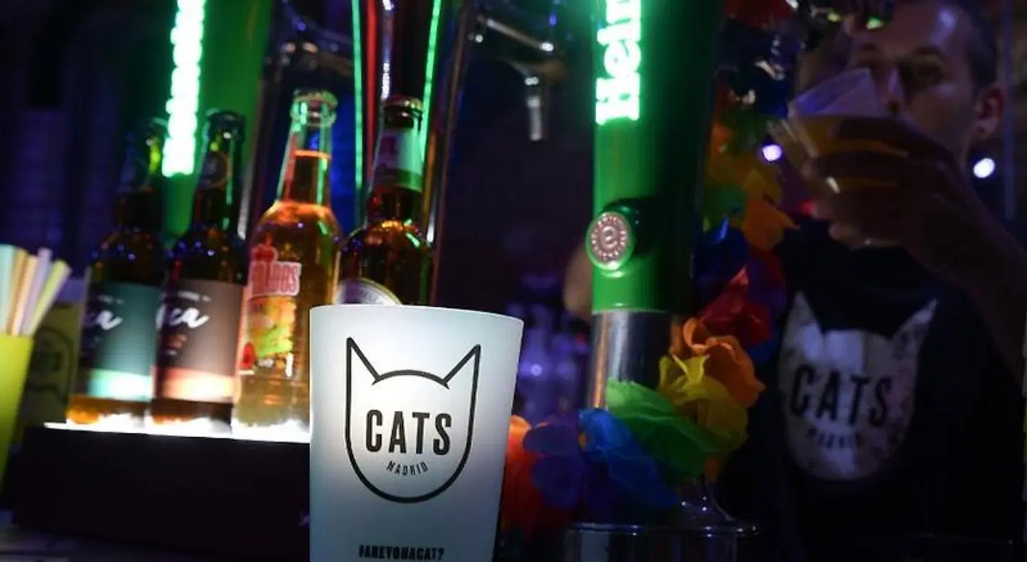 Living Cat's Hostel SPORTS_AND_LEISURE