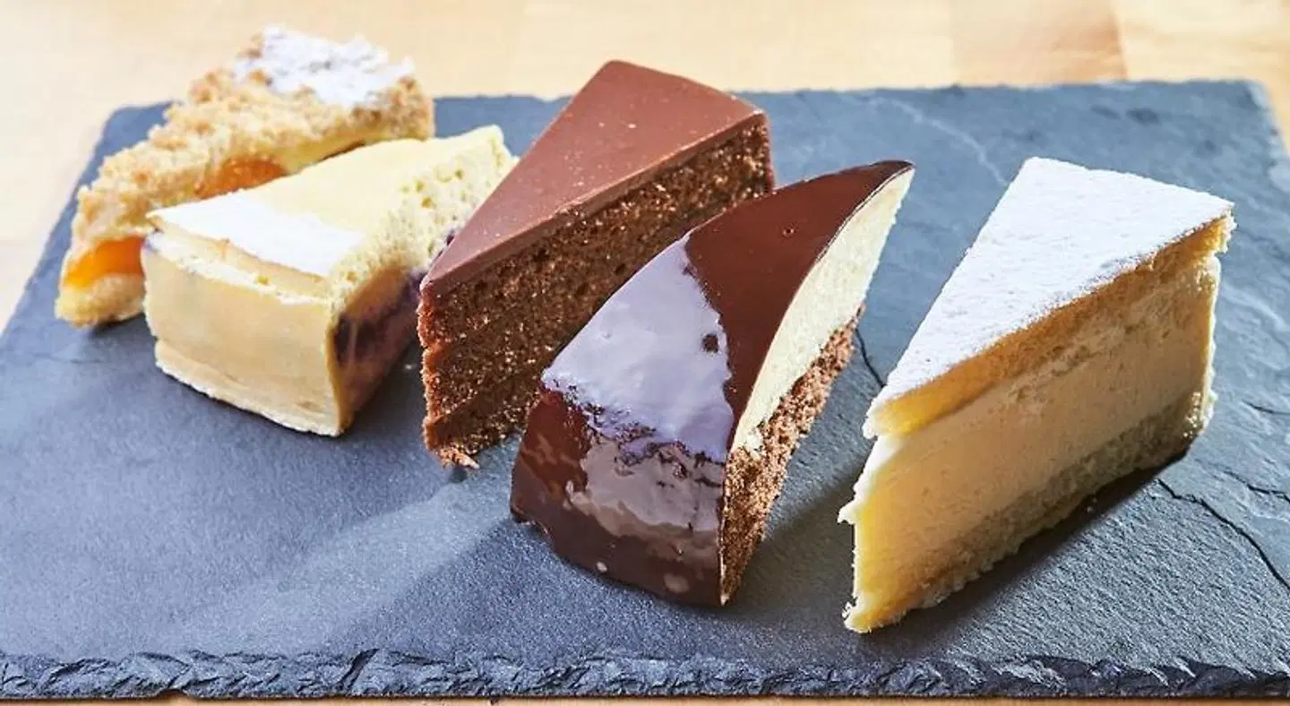 Hotel Die Pflegerbrucke MODEL_IMPRESSION