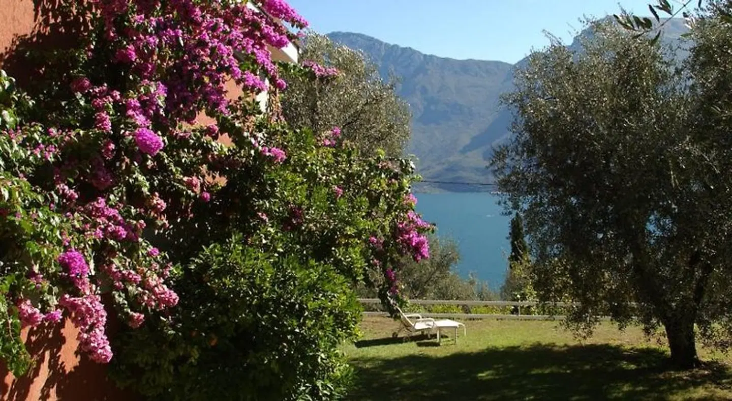 Riviera LANDSCAPE