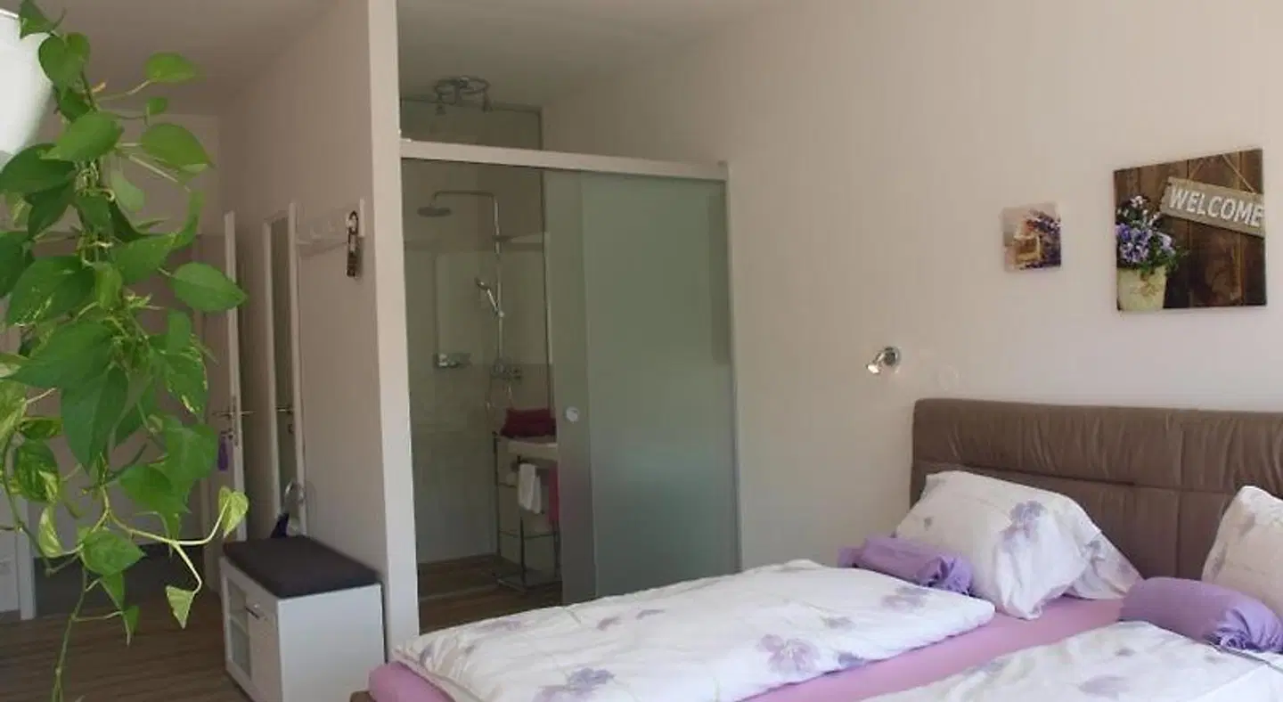 Gästehaus Haiminger ROOM_EXAMPLE