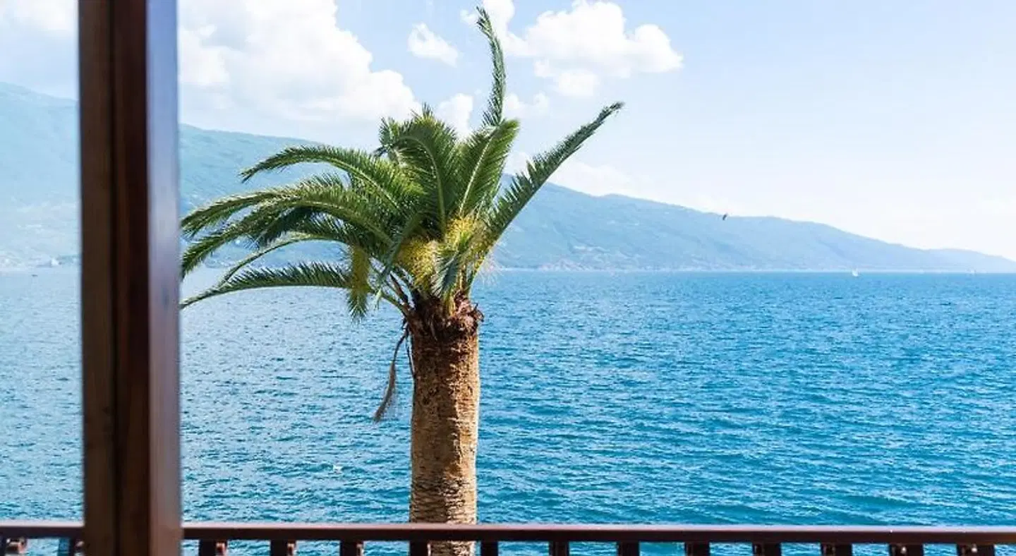 Hotel Forbisicle Tiere