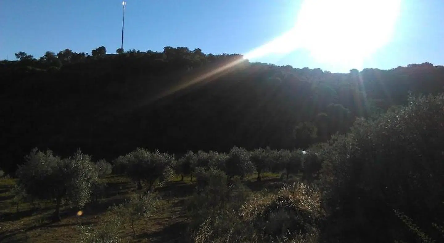 Casa das Argolas LANDSCAPE