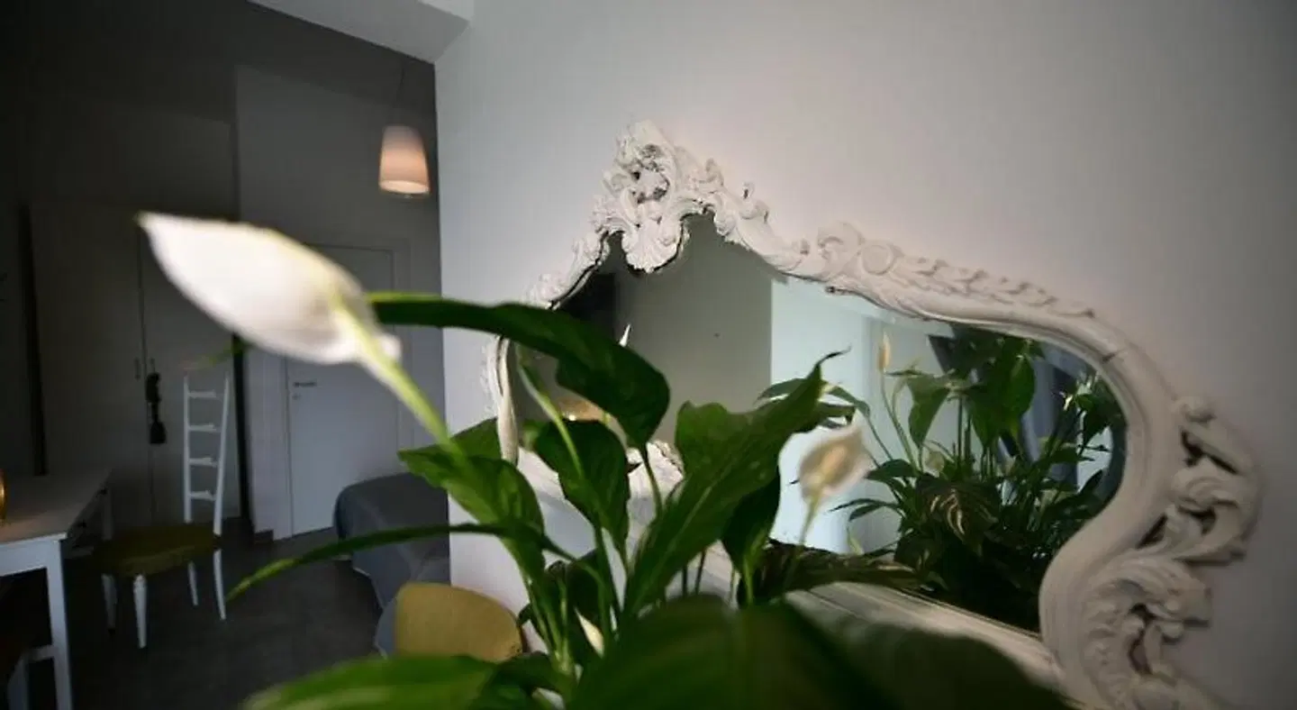 Inkantu B&B ROOM_EXAMPLE