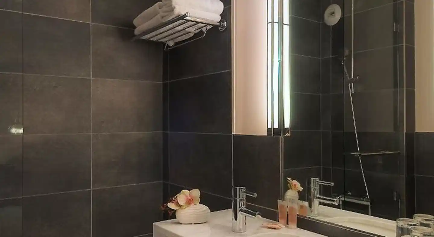 Hôtel Marais Bastille Wellness