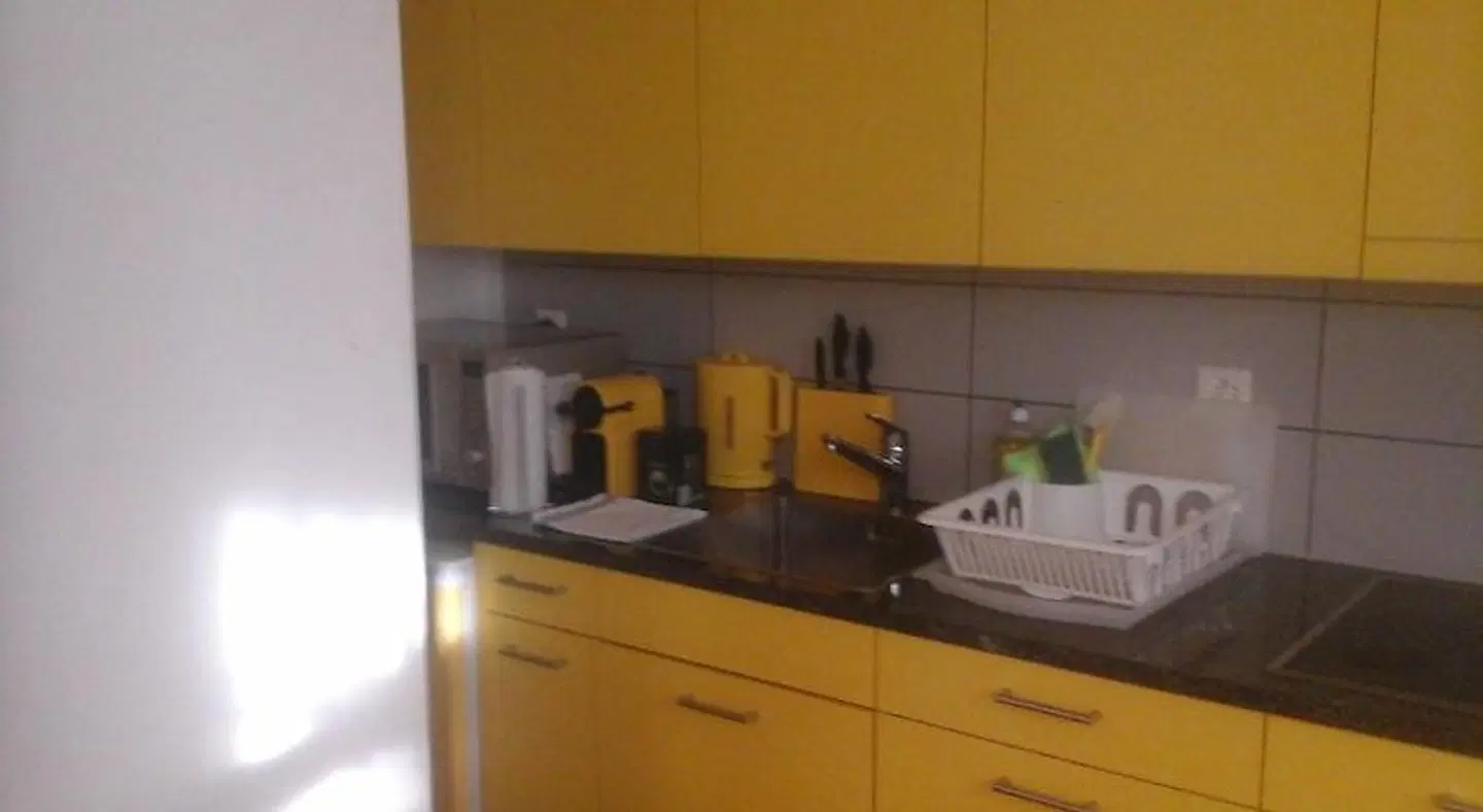 Garden Studio Apartment Zürichberg ROOM_EXAMPLE