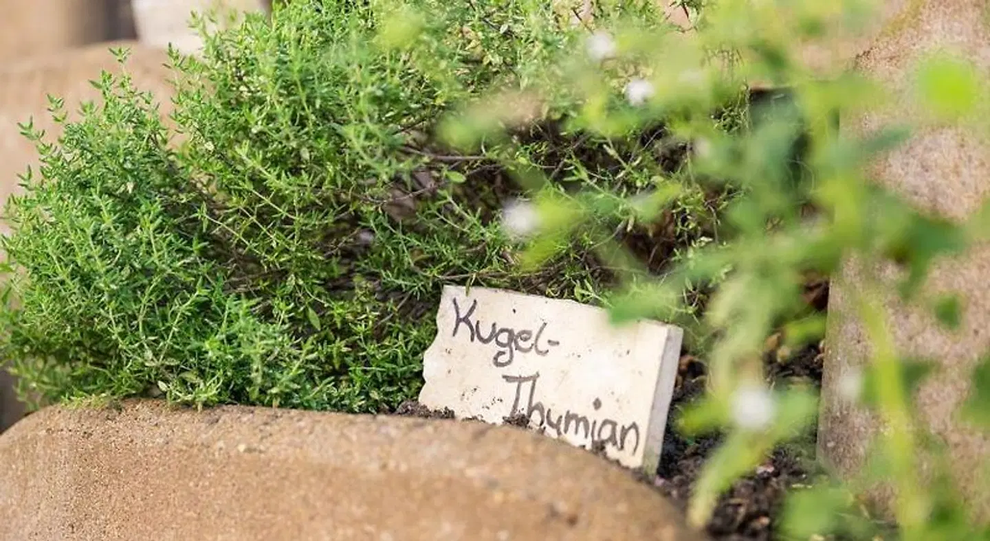 Inselhotel Rügen LANDSCAPE