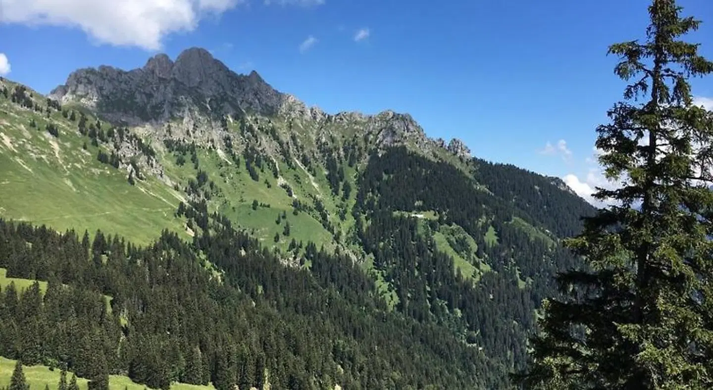Maximilian LANDSCAPE