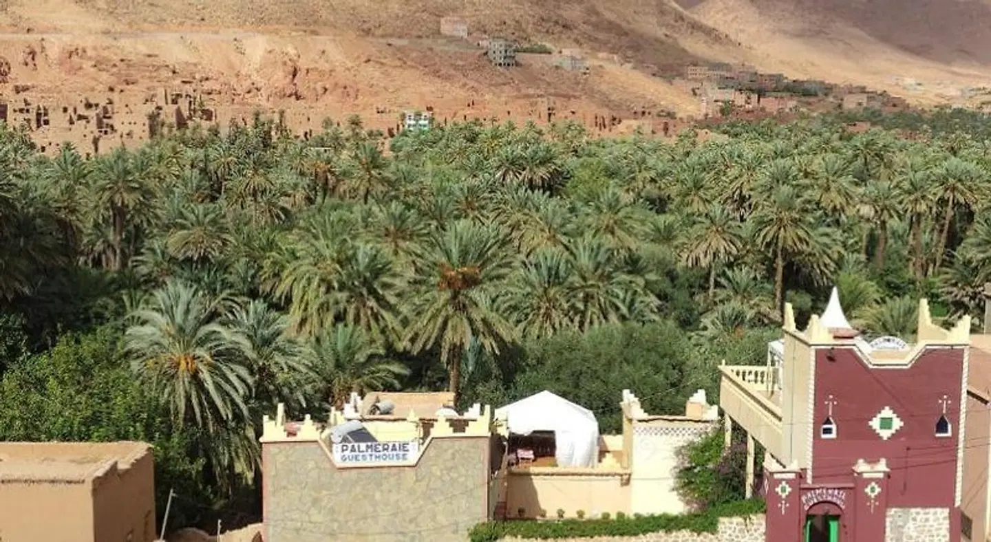 Palmeraie Guest House Garten