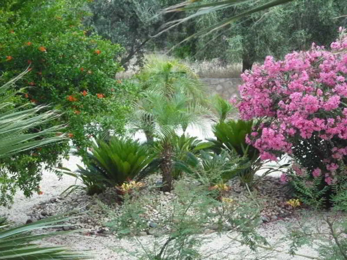 Summer Memories Aparthotel Garten