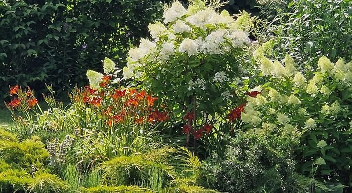 Villa Orlik Garten