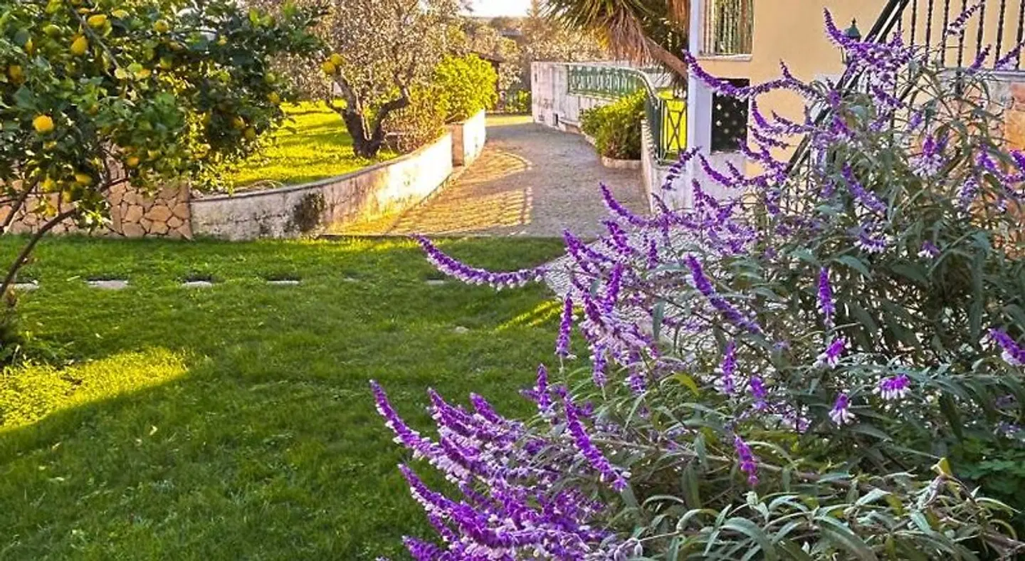 Quinta Do Ribeirinho Garten