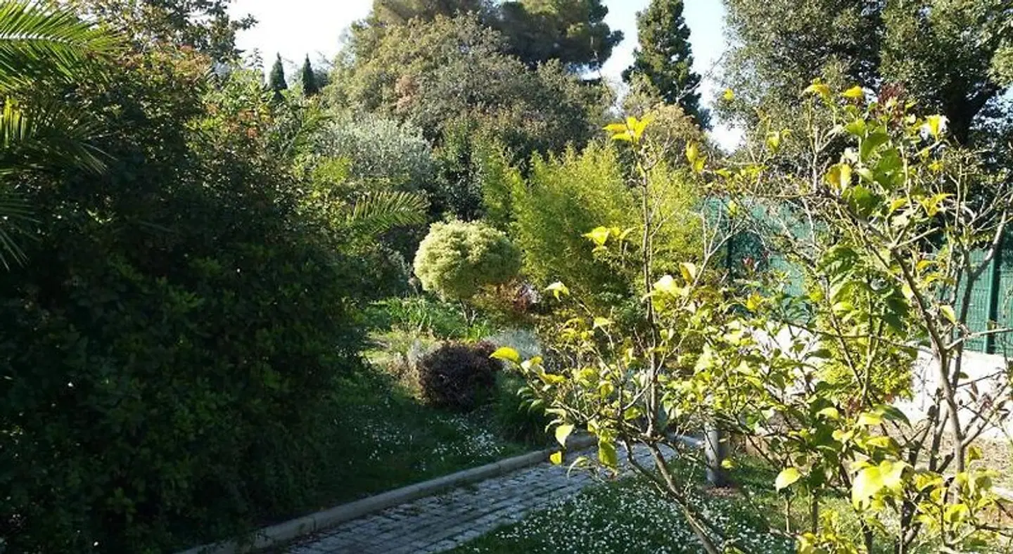 Les Palmiers Garten