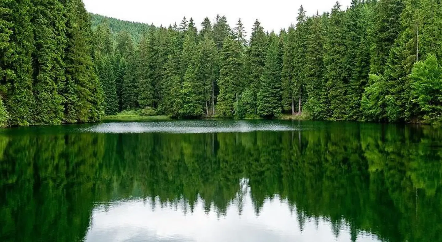 Festenburg LANDSCAPE