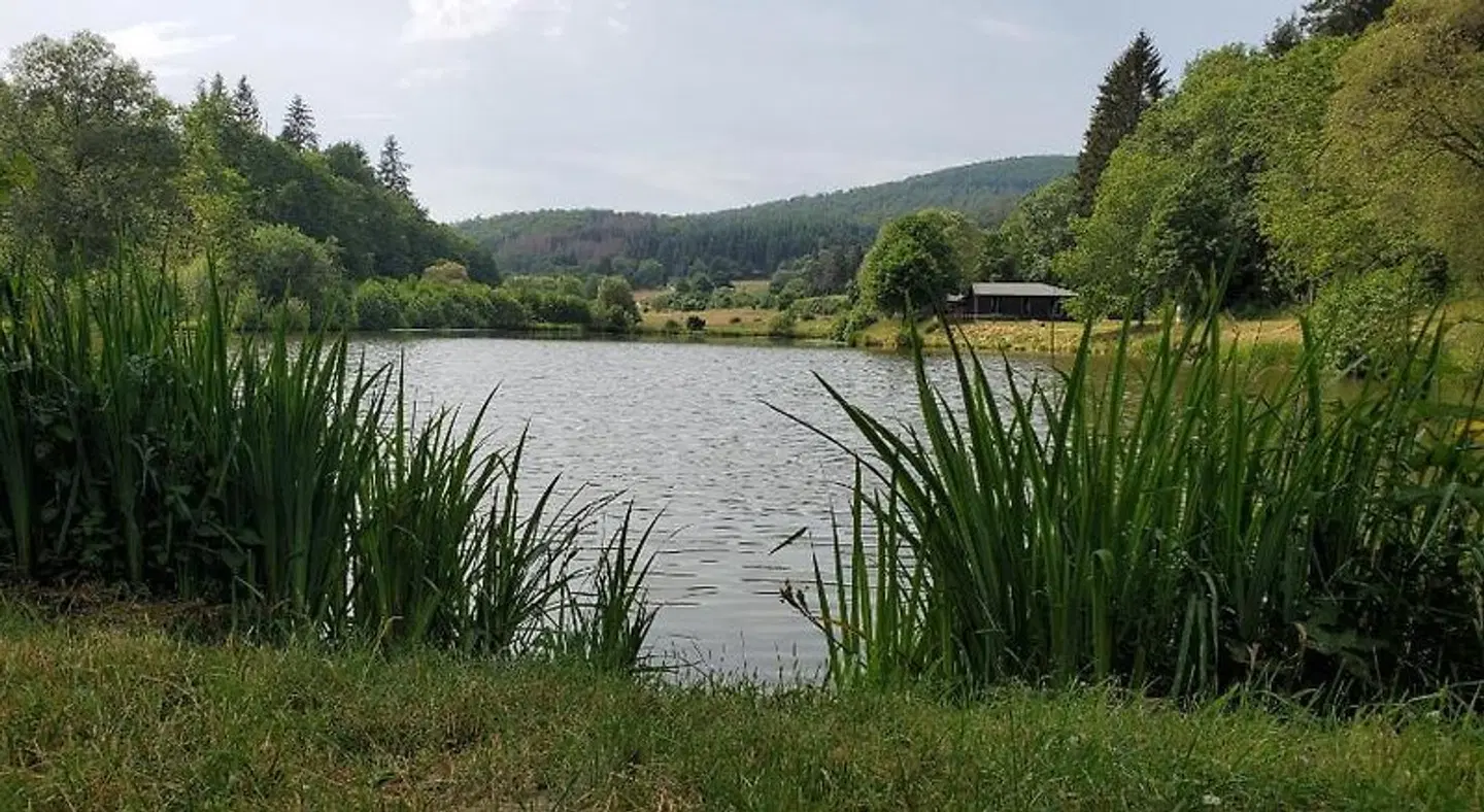 Landgasthof Steuber LANDSCAPE