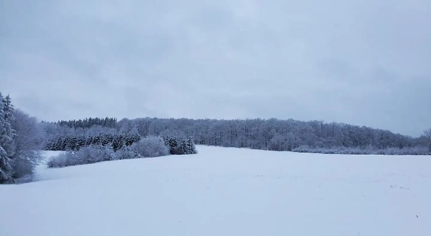 Landgasthof Steuber LANDSCAPE
