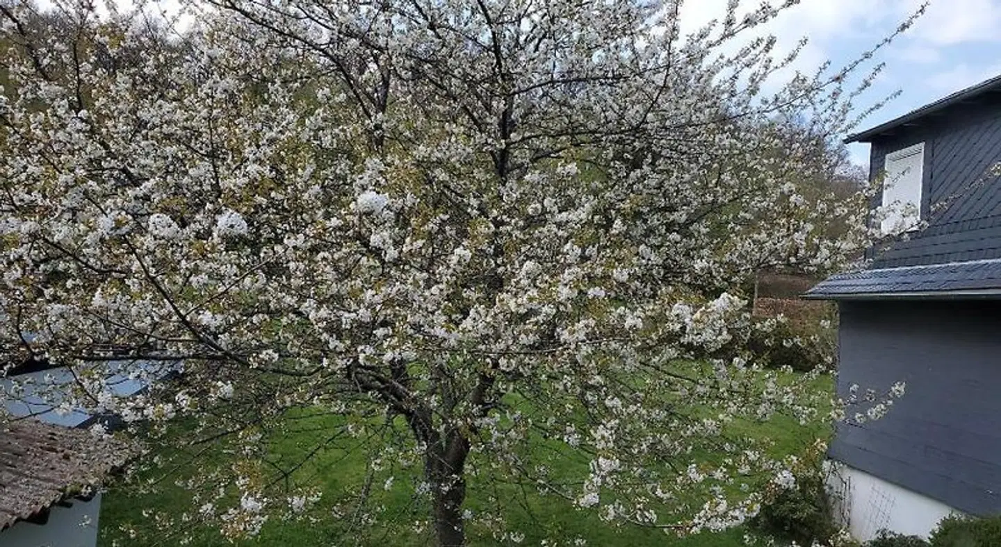 Landgasthof Steuber LANDSCAPE