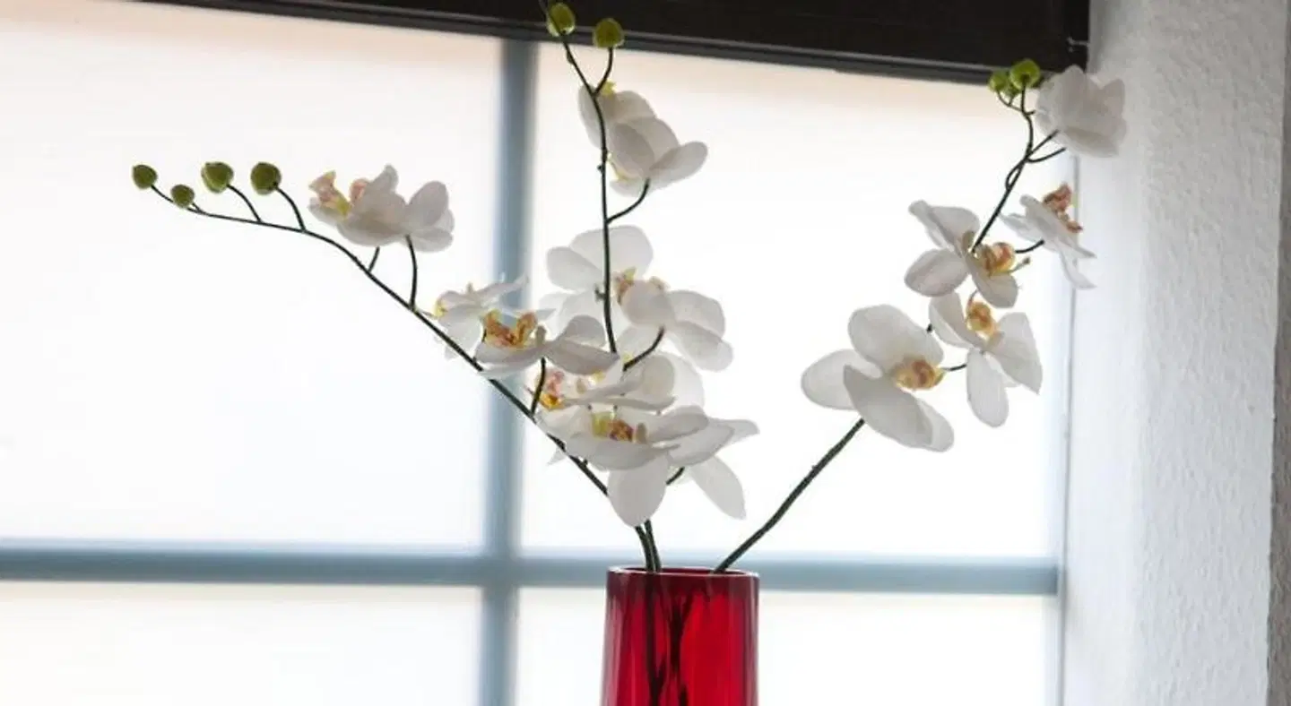 Pension EulenNest MODEL_IMPRESSION