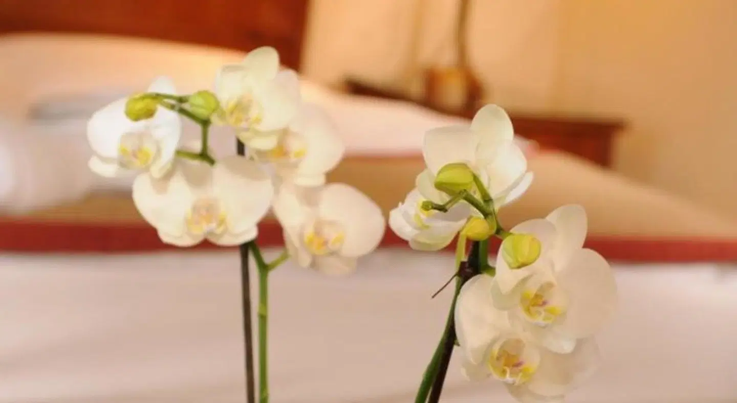 Brunfels Hotel, In The Unbound Collection By Hyatt ROOM_EXAMPLE
