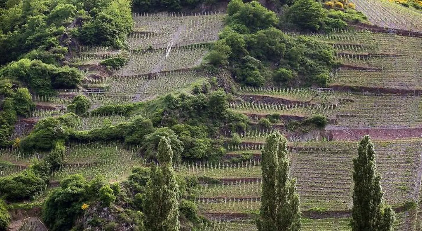 Weinhotelchen LANDSCAPE