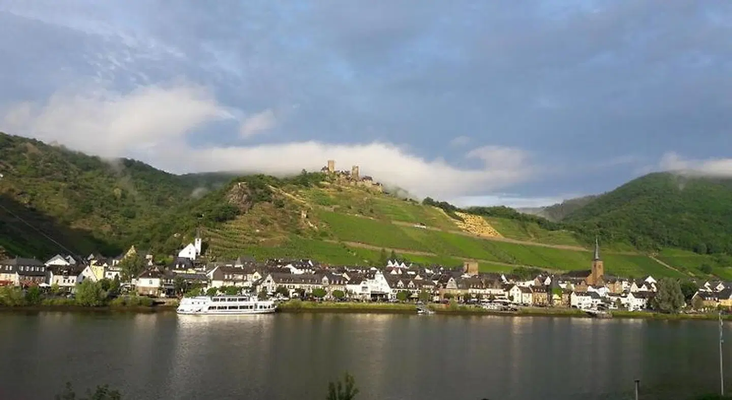 Gästehaus Burgberg, Weinhaus Fries LANDSCAPE
