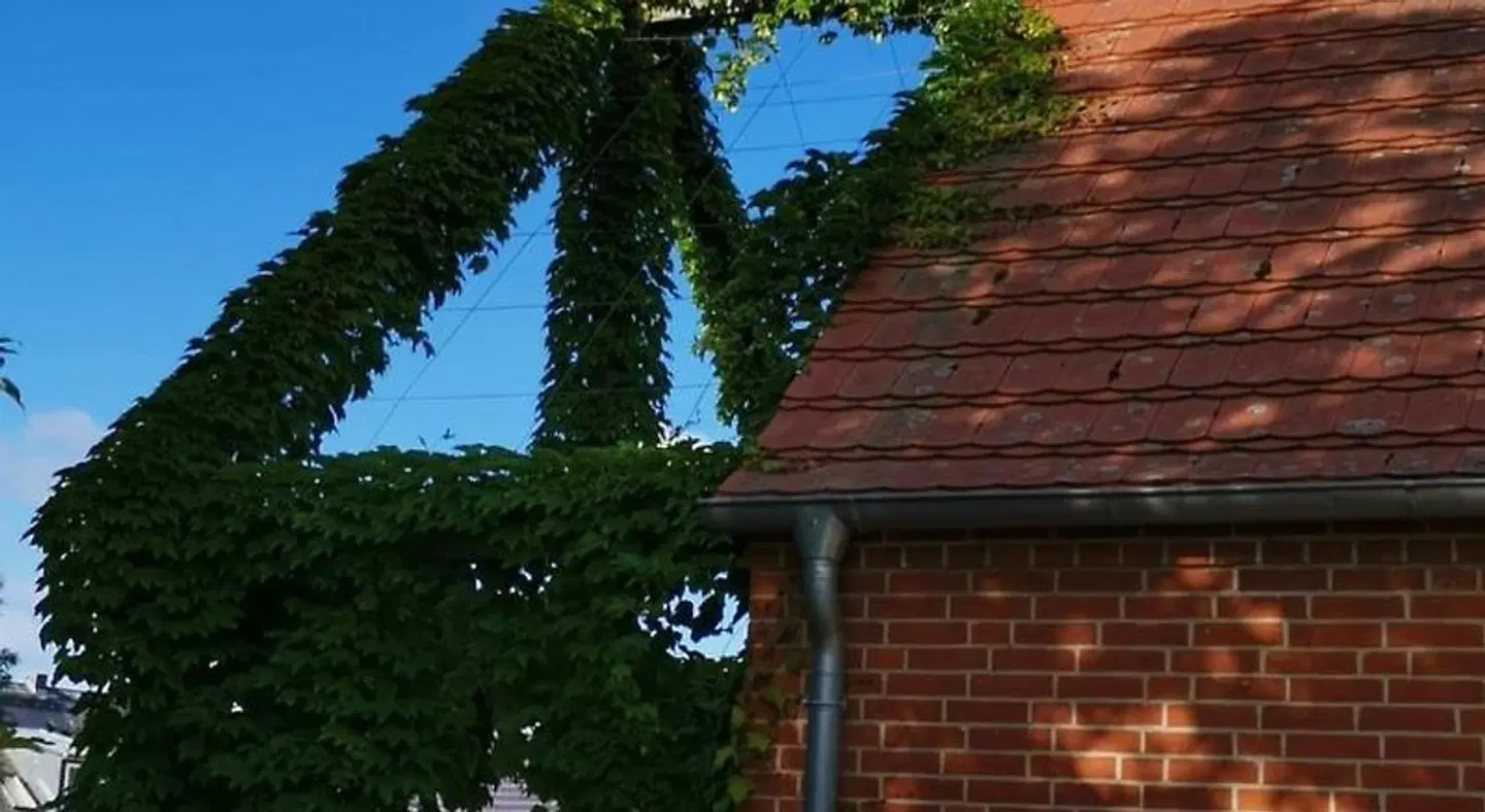 Schönhagener Mühle LANDSCAPE