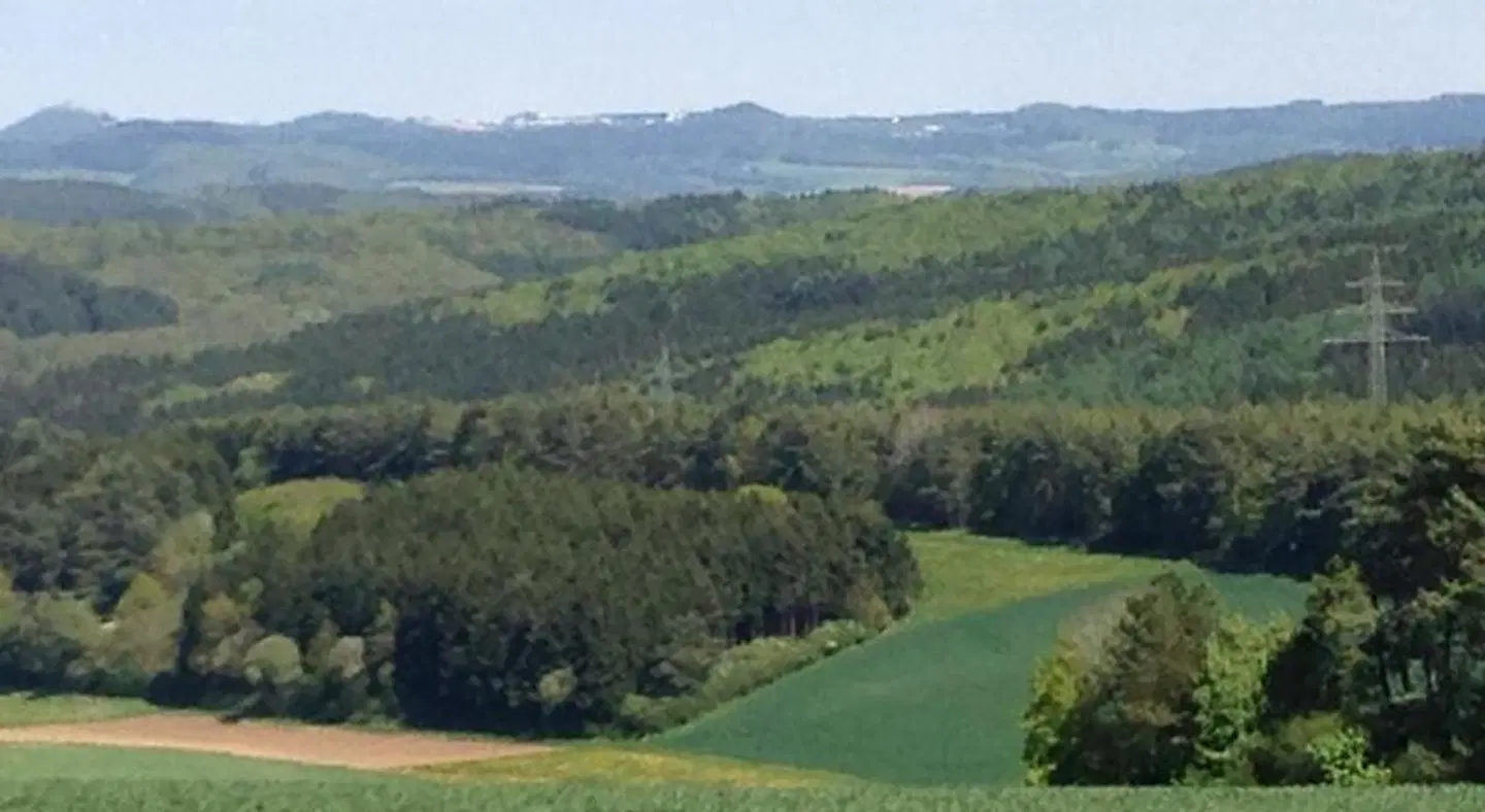 All Seasons Bed & Breakfast LANDSCAPE