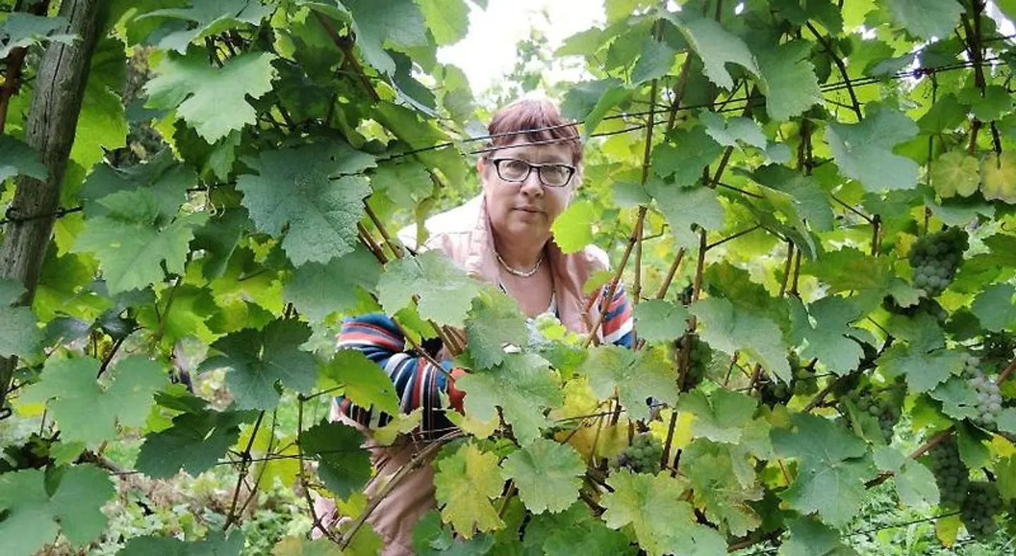 Weingut-Gästehaus Karl Otto Nalbach Garten