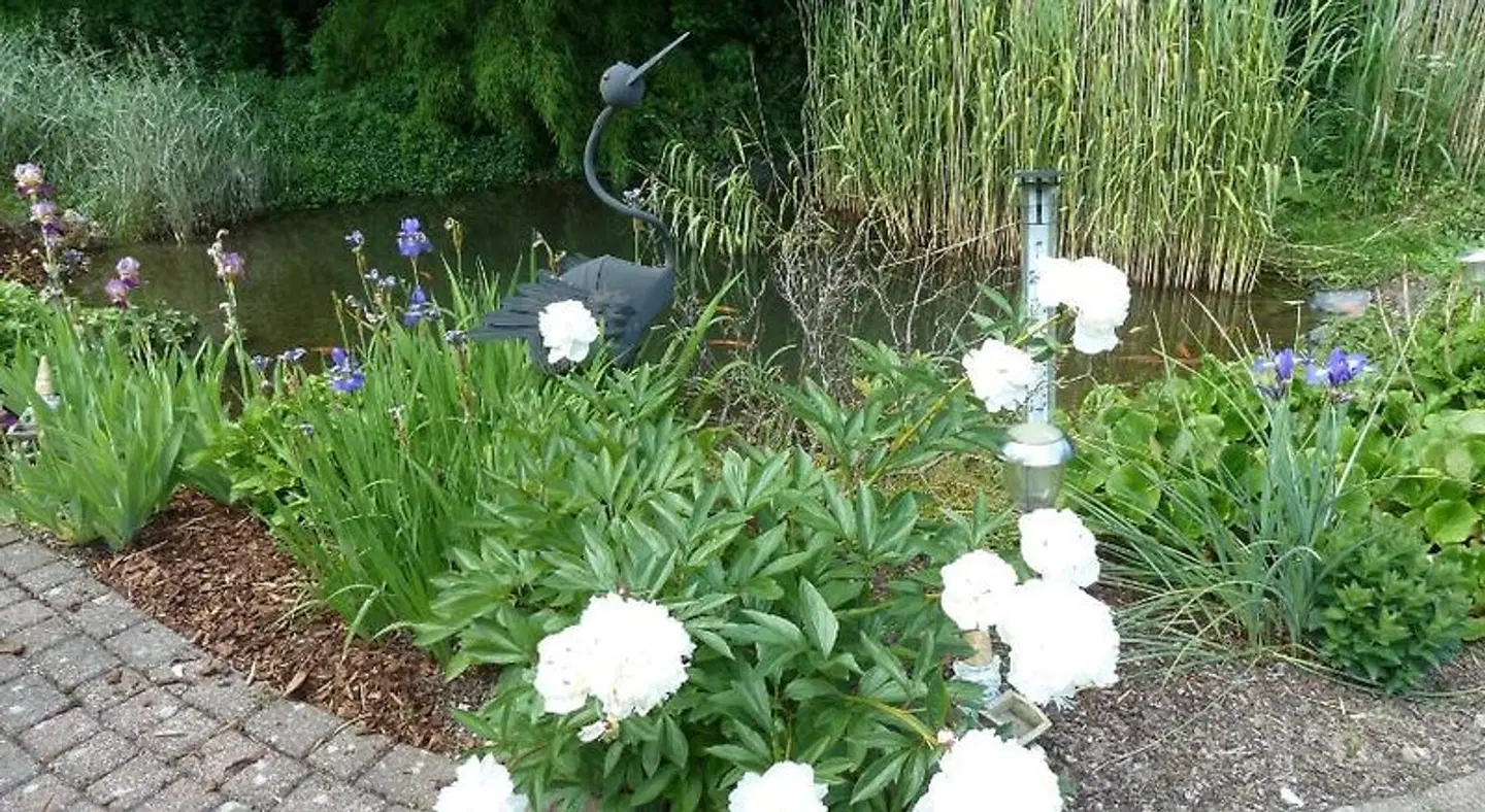 Ferienhaus am Sonnenhang Garten