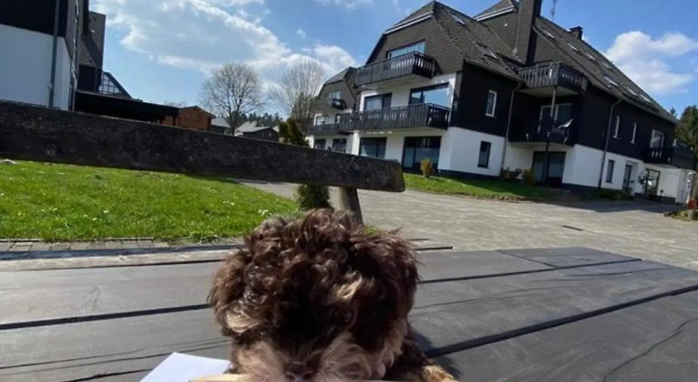 Ferienpark Winterberg Tiere