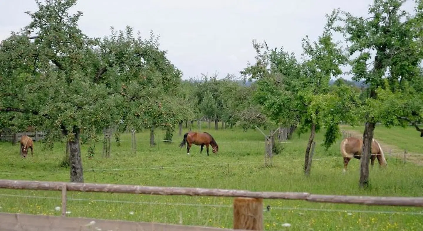 Hotel Bayerisch Meran Tiere