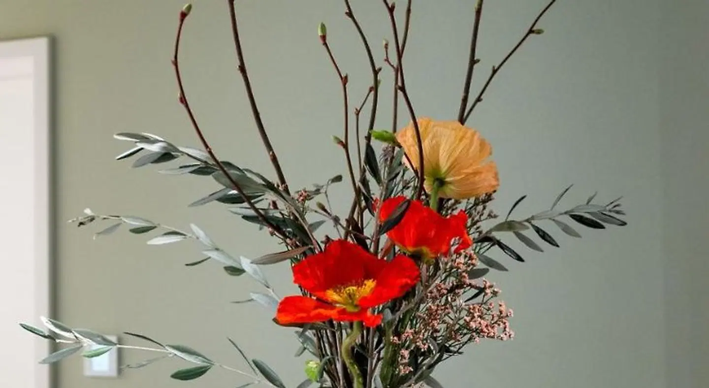 Hotel Das Regensburg LANDSCAPE