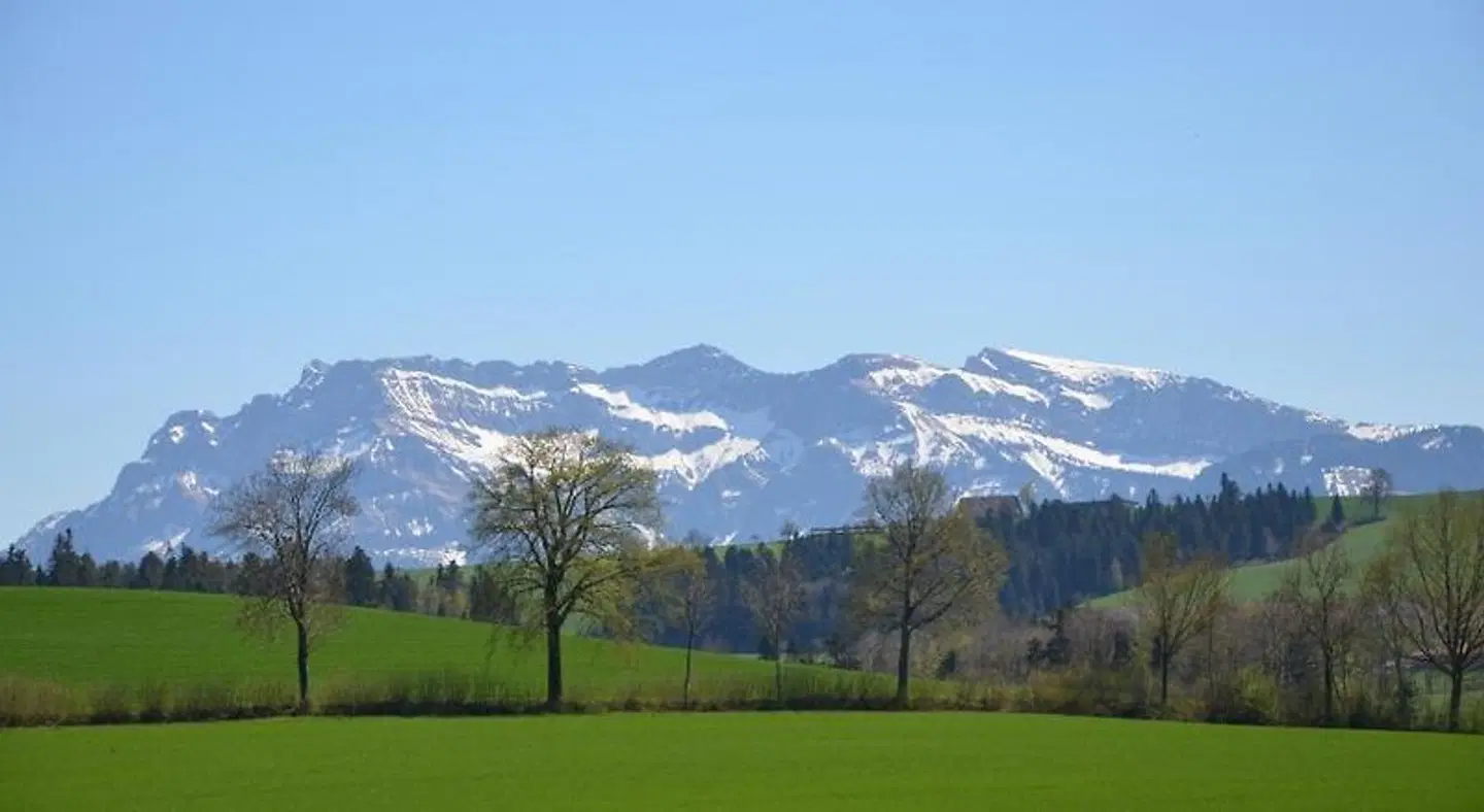 B&B Friedau LANDSCAPE